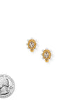 BRACHA Cypress Studs