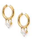 BRACHA Harbor Hoops