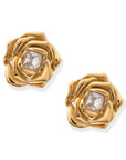 BRACHA Rosette Earrings
