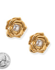 BRACHA Rosette Earrings