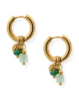 BRACHA Sage Hoops