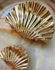 BRACHA Shell Hair Clip