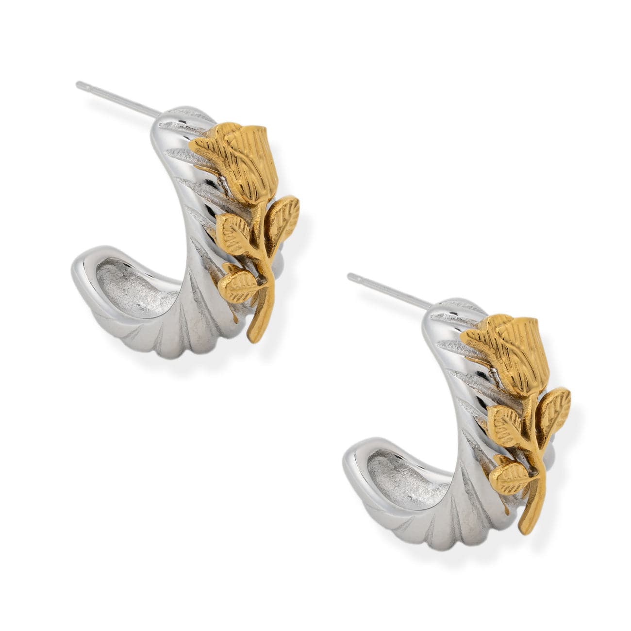 BRACHA Champion Hoops