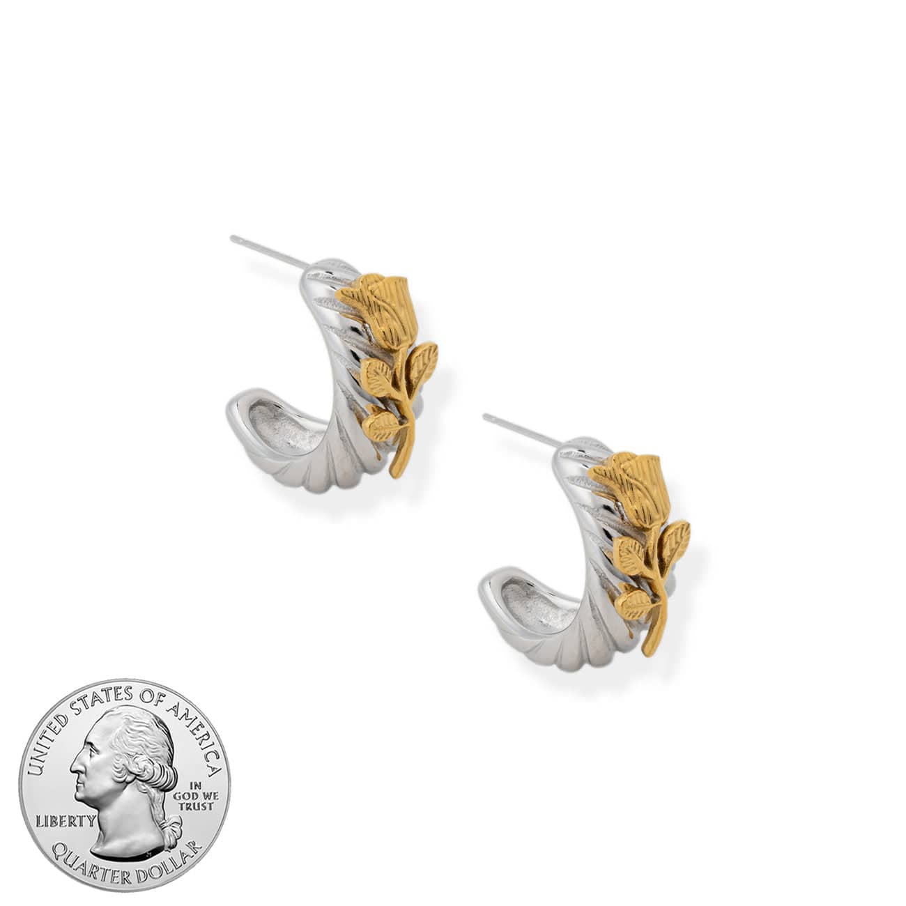 BRACHA Champion Hoops