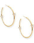 BRACHA Delta Hoops