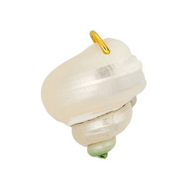 Finley Shell Charm