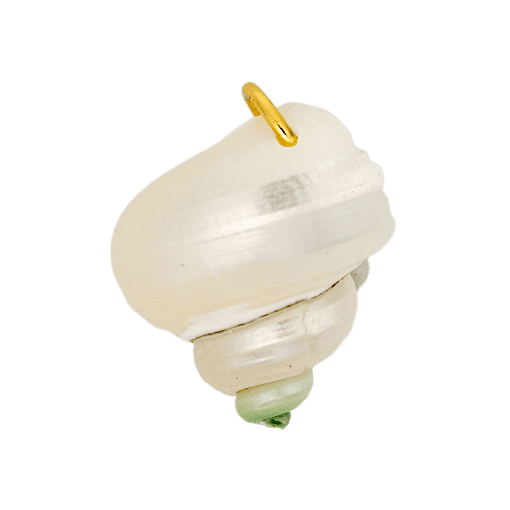 Finley Shell Charm by BRACHA