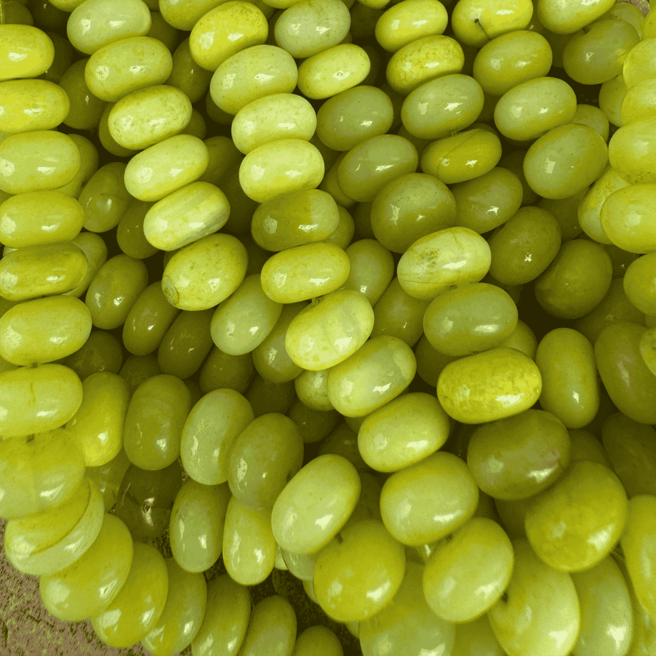 BRACHA KeyLime Candy Necklace