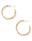 BRACHA Luminosity Hoops