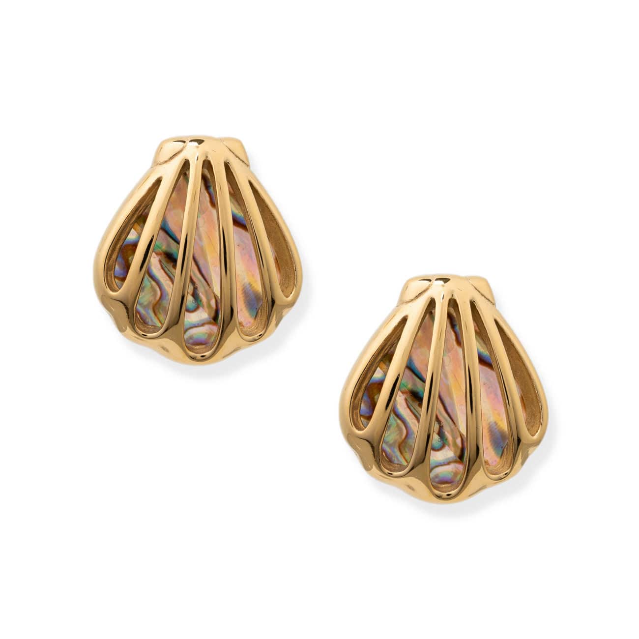 BRACHA Maris Shell Earrings