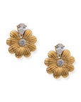 Mya Studs Earrings by BRACHA