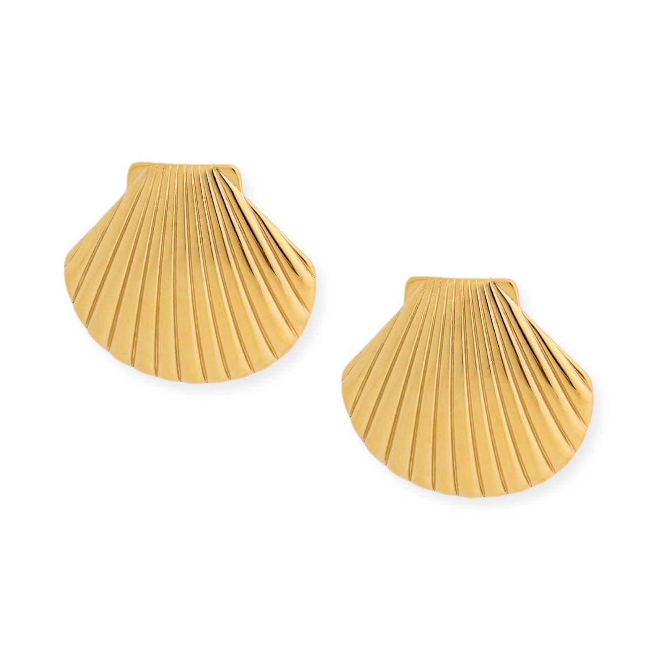 BRACHA Shell Studs