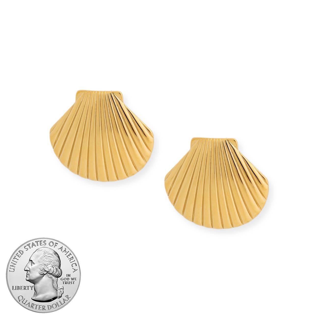 BRACHA Shell Studs