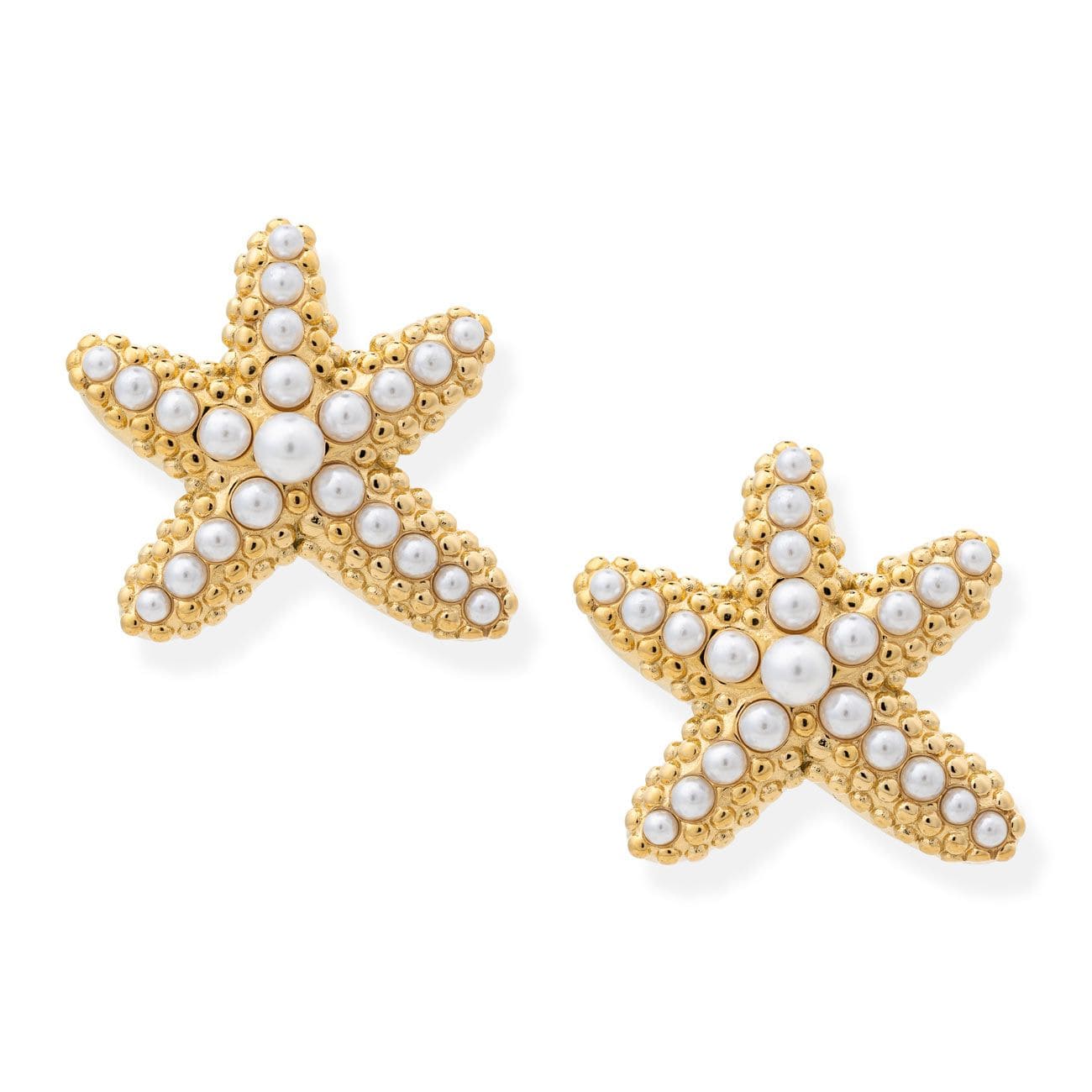 BRACHA Starfish Earrings