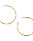 Torence Gold Everyday Hoop Earrings by BRACHA