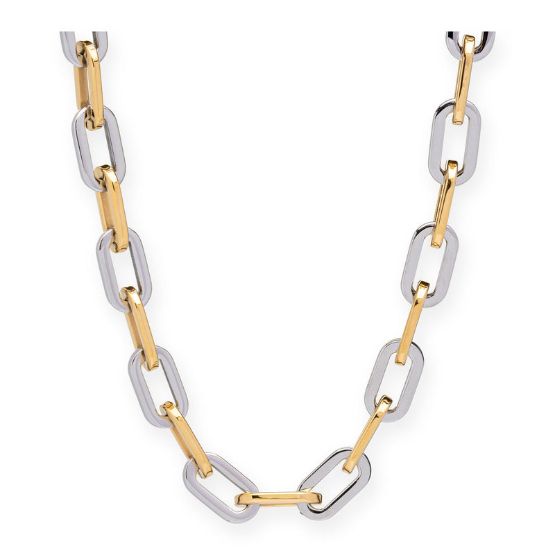 Elle Gage Two Tone Necklace